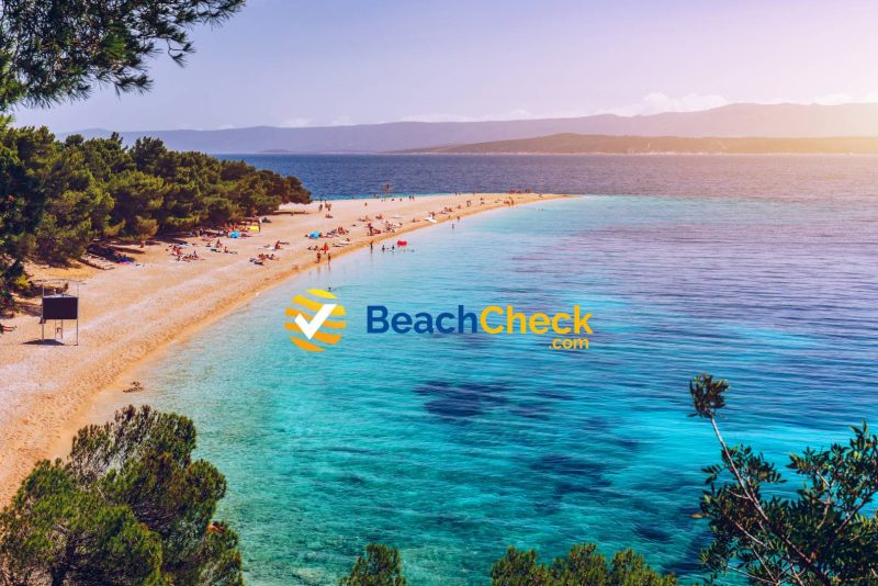 BeachCheck Social Posts